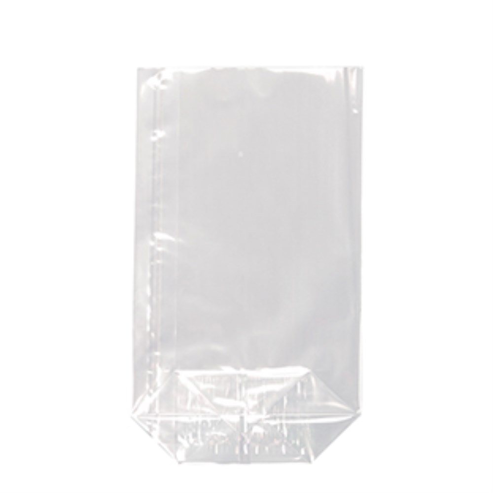 10 Bodenbeutel, PP 23,5 cm x 14,5 cm x 5,8 cm transparent